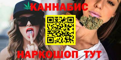 стафф Кингисепп