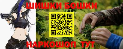 стафф Кингисепп