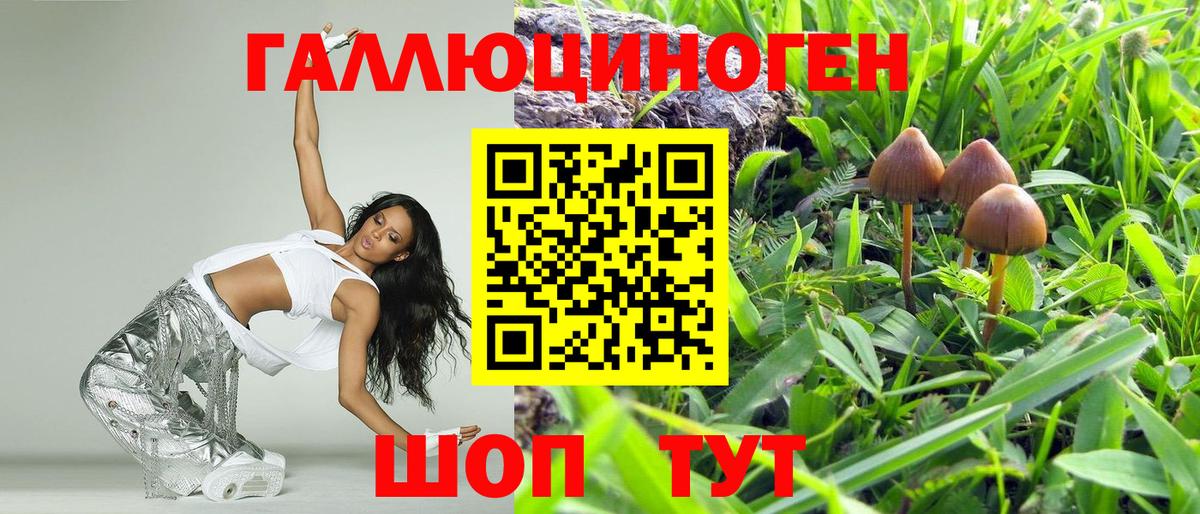 Куйбышев  Галлюциногенные грибы GOLDEN TEACHER  Вход с VPN 